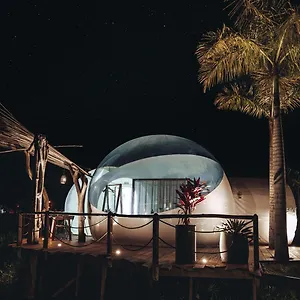 Green Land Bubble Glamping By Mint Luxury tent